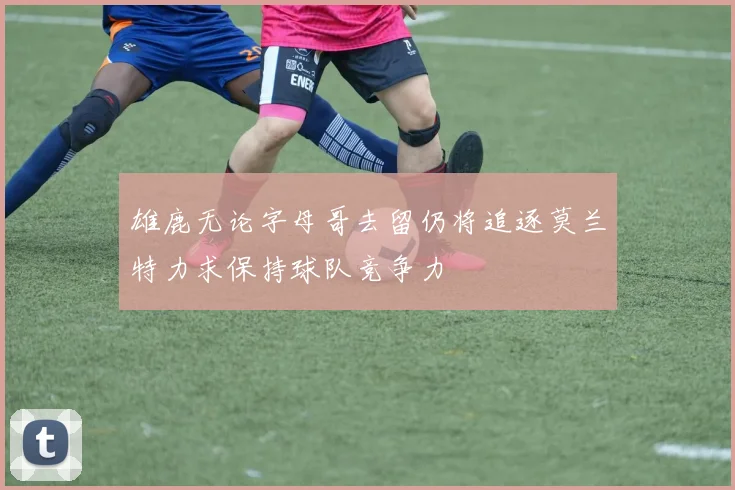雄鹿无论字母哥去留仍将追逐莫兰特力求保持球队竞争力